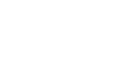 FLYACTS Logo zentriert weiss